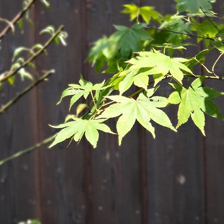 Machiya Oozora Villa Kiotó Kültér fotó
